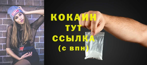 шишки Покровск