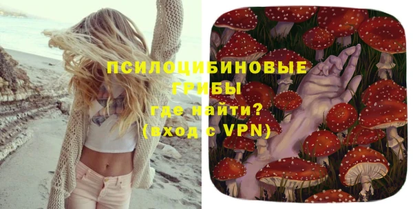 гидра Абинск
