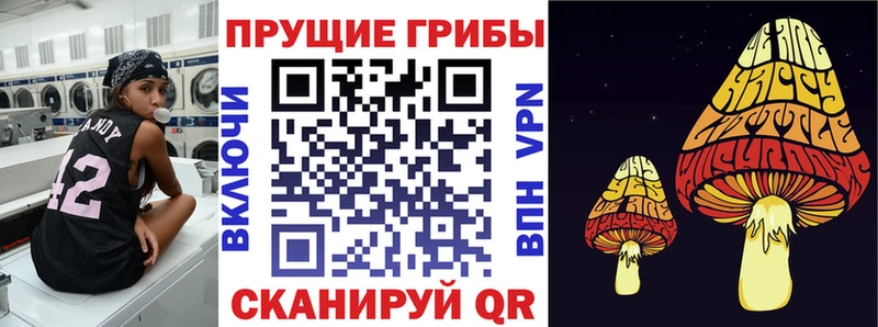 где можно купить   Хилок  Псилоцибиновые грибы GOLDEN TEACHER 